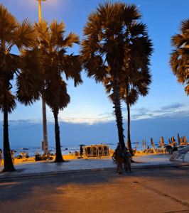 What Are the Best Things to Do in Bangkok? Pattaya