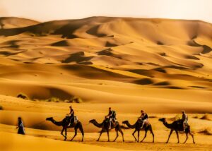 Best Things to Do in Riyadh? desert Riyadh