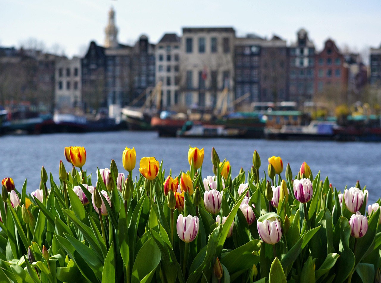 Garden Hotels in Amsterdam