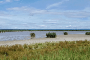 Fertö Neusiedlersee Cultural Landscape