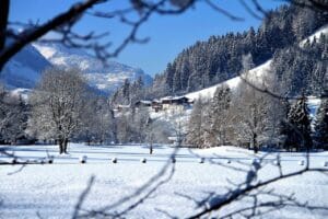 Fertö Neusiedlersee Cultural Landscape
