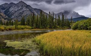 Nature , Nahanni National Park , Canada