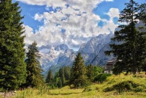 Forest , Hallstatt-Dachstein / Salzkammergut Cultural Landscape, Austria