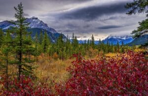 Summer , Nahanni National Park , Canada 