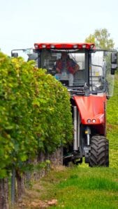 The Alto Douro Wine Region, Portugal