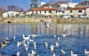 City of Verona, Italy