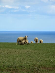 Cornwall and West Devon Mining Landscape, UK