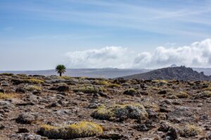 Bale Mountains National Park, Ethiopia