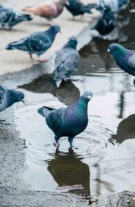 The City of Bath, England