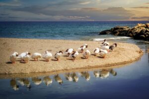 Navagio Beach, Greece