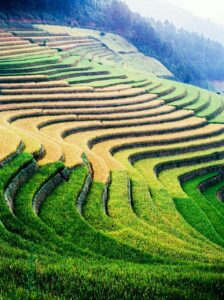 Honghe Hani Rice Terraces, China 