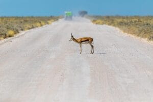 Sandwich Harbour, Namibia