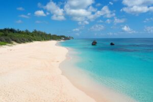 lawjr bermuda 4096704
