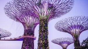 What Are the Best Things to Do in Singapore? enghock singapore 2096833 1280