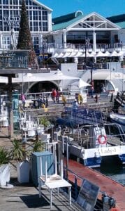 Best Things to Do in Cape Town unserekleinemaus south africa 280646 1920