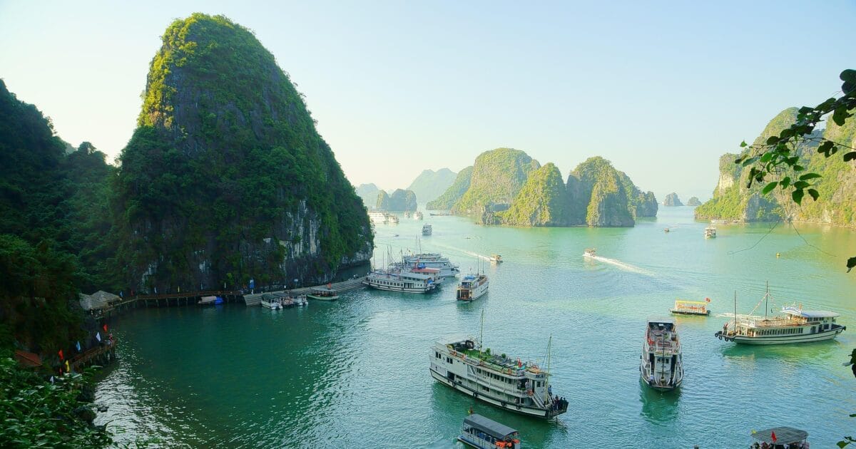 cat7397 vietnam 1745819 1920