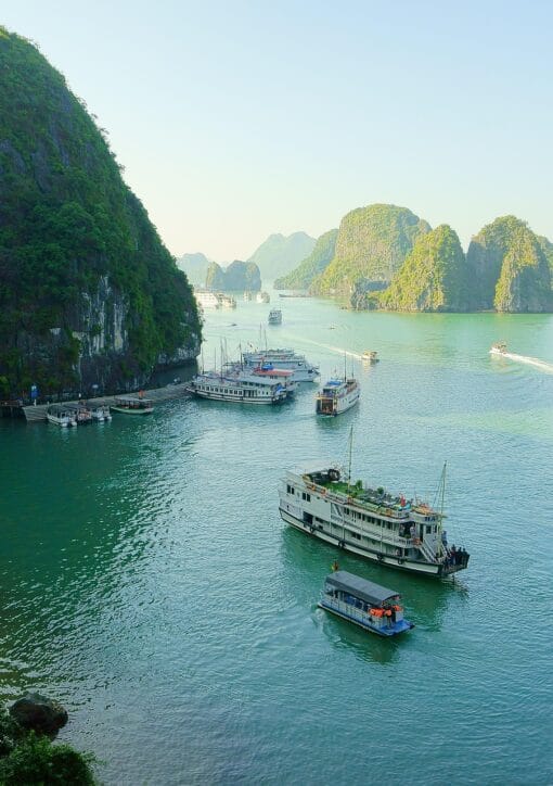 cat7397 vietnam 1745819 1920