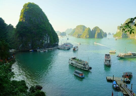 cat7397 vietnam 1745819 1920
