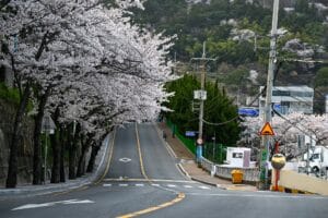 Best Things to Do in Busan? Busan South Korea