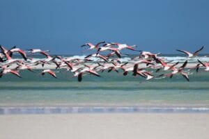 South Africa