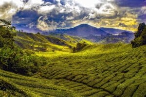 Best Things to Do in Penang 12019 malaysia 1864676 1920