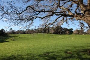 Best Things to Do in Auckland, New Zealand Auckland, New Zealand