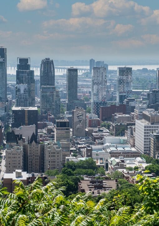 filipfilipovic montreal 8469185 1920