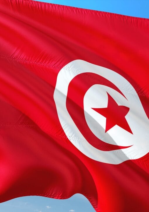 jorono international 2684768 1920