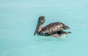 Best Things to Do in Cancun Cancun Mexico