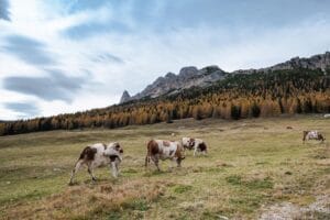 The Dolomites Italy