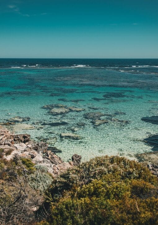 palinska australia 5257080 1920