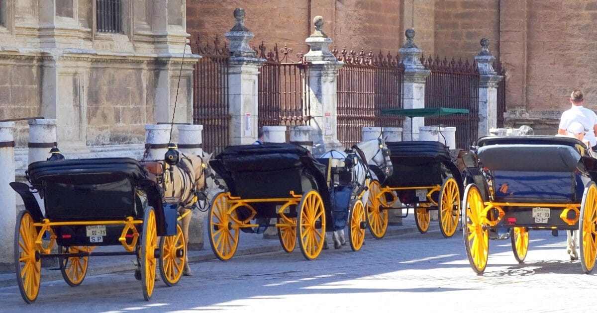 wurliburli seville 4997805 1920