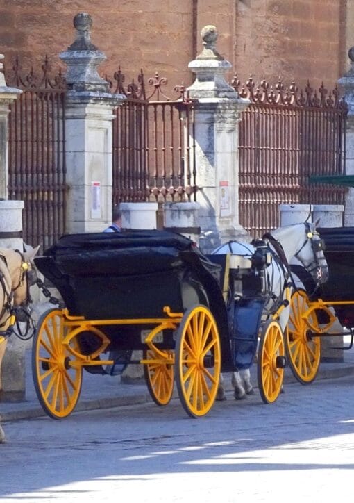 wurliburli seville 4997805 1920