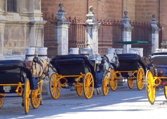 wurliburli seville 4997805 1920
