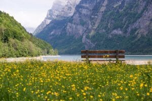 Best Things to Do in Geneva geneva , switzerland