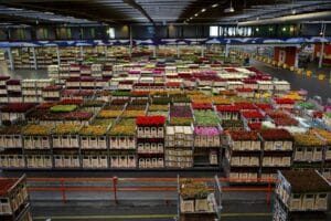 How Do I Find Reliable Wholesale Suppliers Wholesale Suppliers