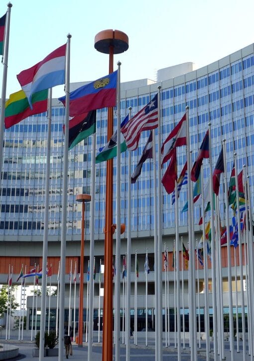 995645 united nations 3760656 1920