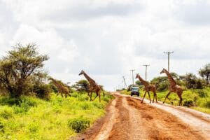 Best Places to Visit in Nairobi Nairobi , Kenya