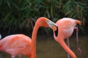 Best Places to Visit in Orlando Orlando USA