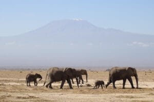 Best Places to Visit in Nairobi Nairobi , Kenya