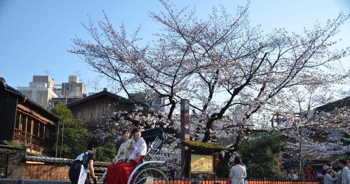 rulosan japan 2902301 1920