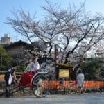 rulosan japan 2902301 1920