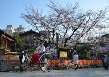 rulosan japan 2902301 1920