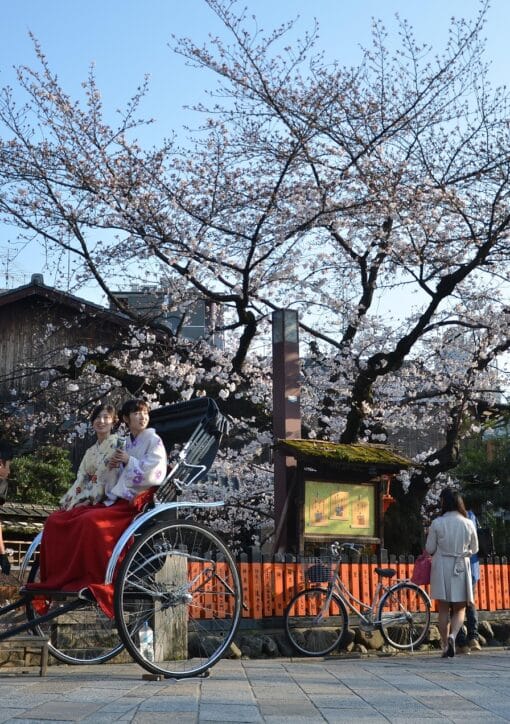 rulosan japan 2902301 1920