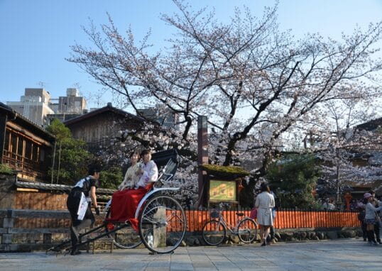 rulosan japan 2902301 1920