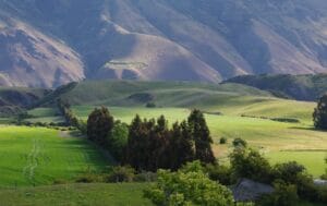 Best Places to Visit in Queenstown Queenstown, New Zealand