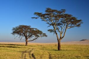 Best Places to Visit in Nairobi Nairobi , Kenya