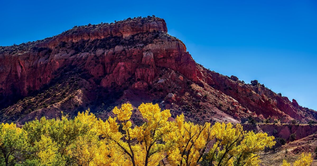 12019 new mexico 1804590 1920
