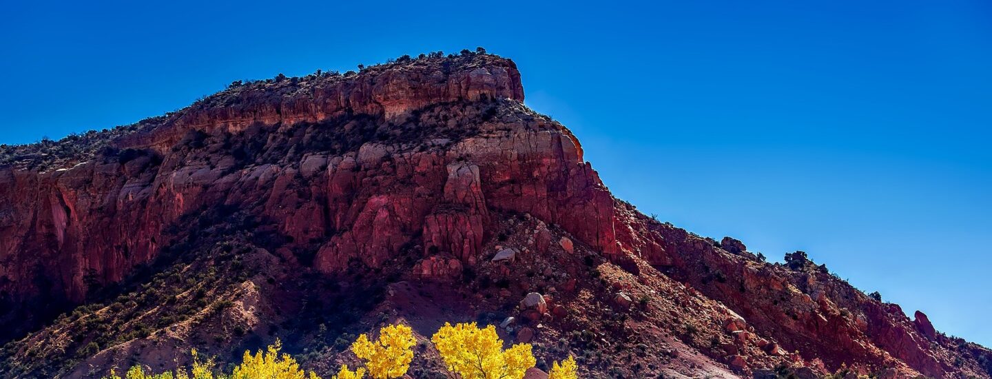 12019 new mexico 1804590 1920