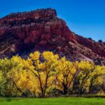 12019 new mexico 1804590 1920